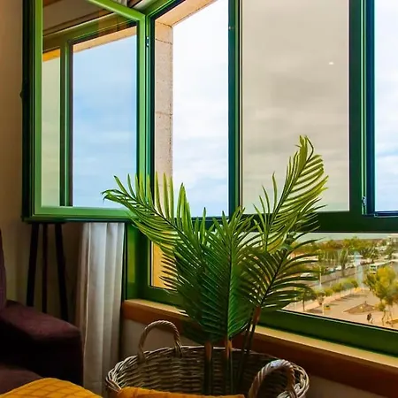Luxury Apartment